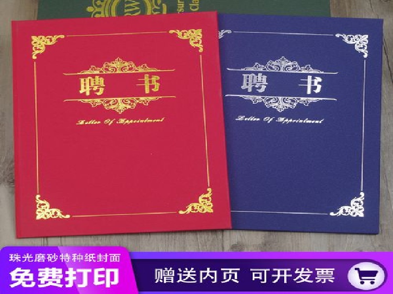 病历本仿真案例