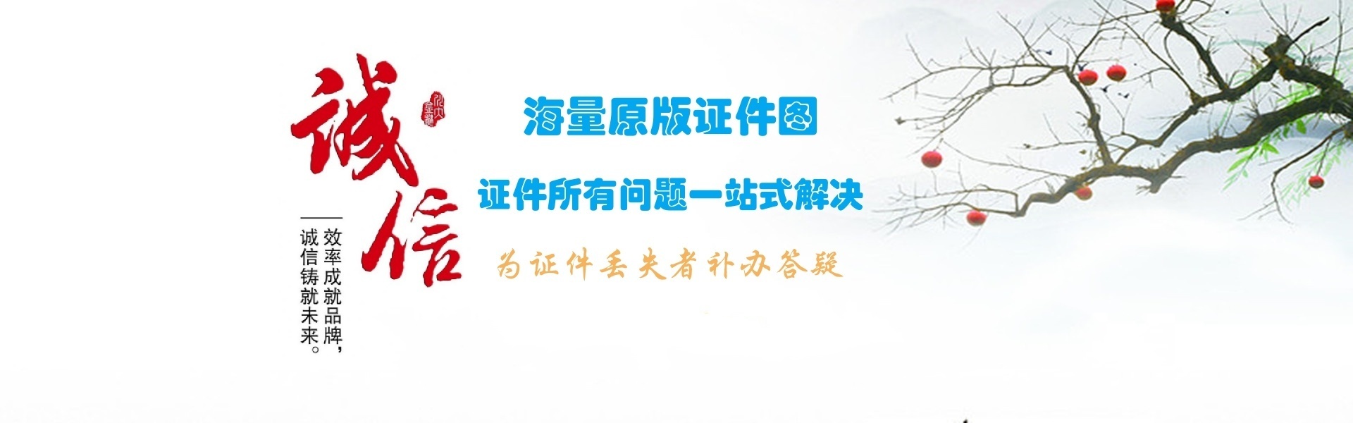 证件制作案例